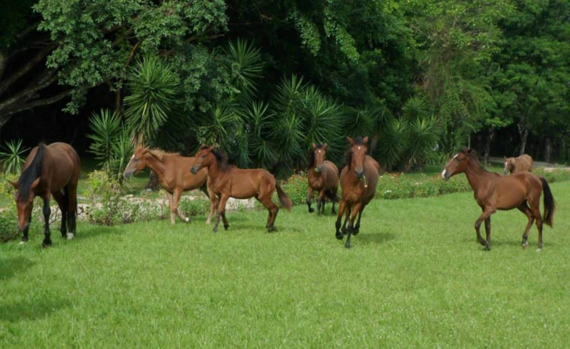 Finca Ixobel Esterno foto