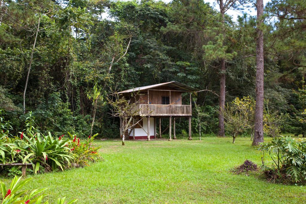Finca Ixobel Camera foto